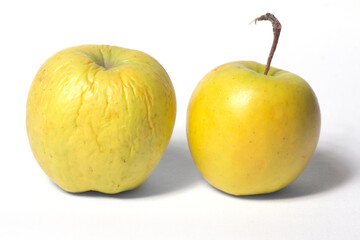 two green-yellow apples on white