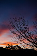 sunset sky with beautiful pink clouds over the hills of Tasmania