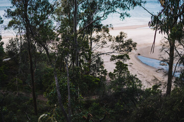 exotic and wild-looking beach with thick vegetation near the shore and no people shot in Tasmania
