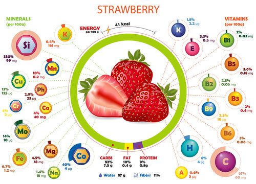 Calories, Vitamins And Minerals Infographics Of Strawberry. Calorific Value Information About Nutrients In Berriest. Isolated Vector Illustration About Vegetables, Agriculture, Nutrition, Health Food.