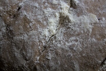 evocative image of wholemeal bread texture with white flour