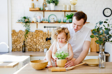 A father and daughter play with homemade flowers in a pot in the kitchen. The concept of Montessori education. Together at home. Entertainment for the whole family.