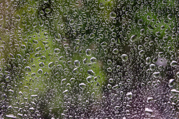 Water drops on glass window