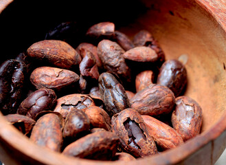 Cacao
