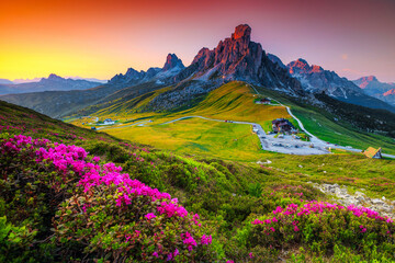 Mountain pass with flowery fields on the hills, Dolomites, Italy