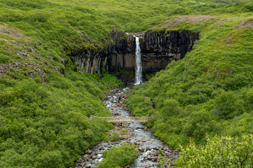 Svartifoss is a waterfall in Skaftafell in Vatnajökull National Park in Iceland and is one of the most popular tourist attractions in Iceland, during the summer there are green grass all over the area