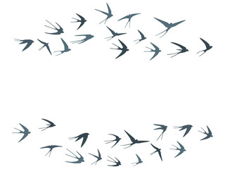 Flying martlet birds silhouettes vector illustration. Nomadic martlets bevy isolated on white. 