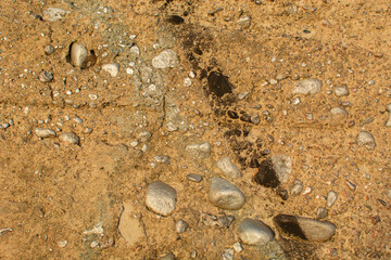 Stone wall texture