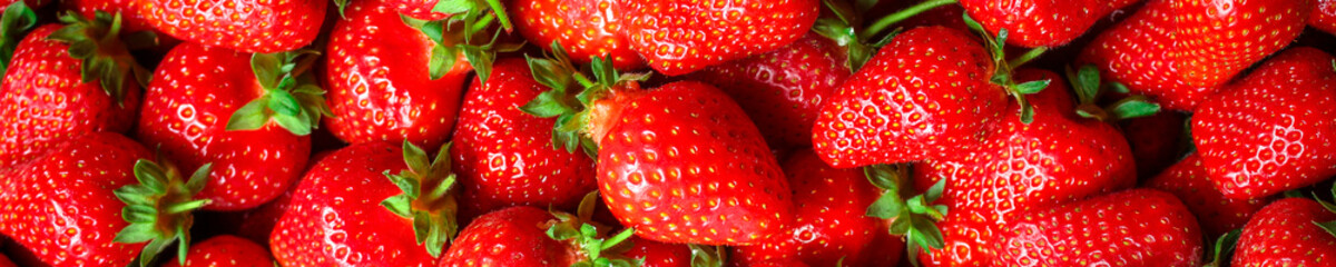 Strawberry ripe and juicy berries concept healthy eating. food background top view copy space for text