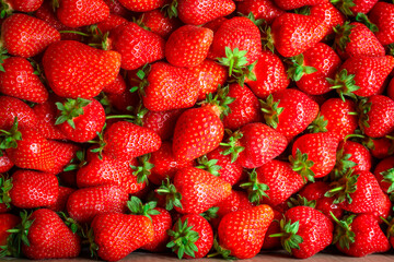 Strawberry ripe and juicy berries concept healthy eating. food background top view copy space for text