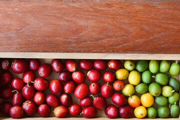 close up of fresh coffee beans for background 