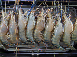 Grilled River shrimps on the flaming grill, Thai foods ,Big shrimps, most favorite food in Thailand