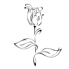 ornament 1195. stylized rose flower bud on a stem with leaves in black lines on a white background