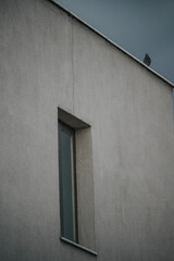The lonely bird , A minimal photo of  a bird with a gray wall