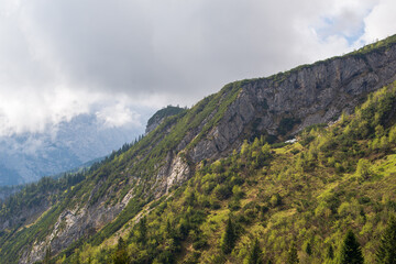 Mountain landscape in summer