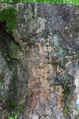 日本庭園の庭石	