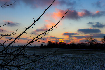 Sunset over frozen field