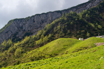 Obraz premium Mountain landscape with green grass