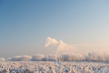 Winter landscape with snowy trees