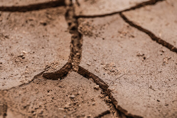 Texture of dry soil, closeup view