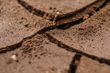 Texture of dry soil, closeup view