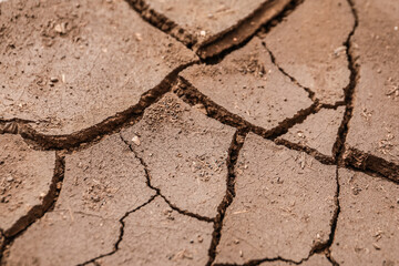 Texture of dry soil, closeup view