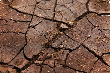 Texture of dry soil, closeup view