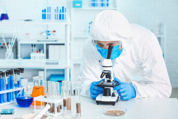 Scientist studying samples of soil in laboratory
