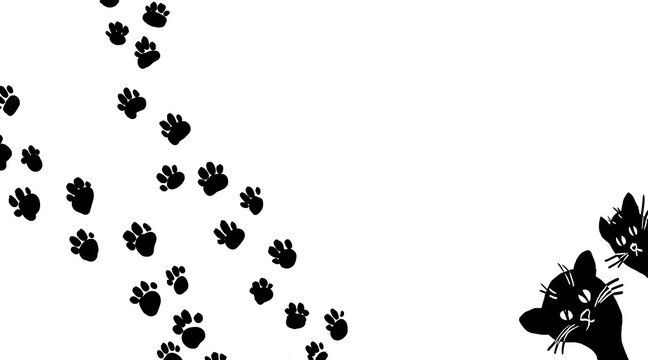 photo abstract background for design. cat footprints, pattern, cats, black and white