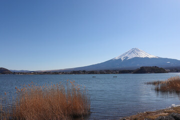 大石公園から見た富士山と河口湖（山梨県富士河口湖町）
