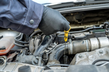 mechanic after change of oil in the engine checks level and quality on a probe.