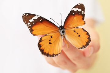 Fototapeta na wymiar Woman with beautiful butterfly, closeup