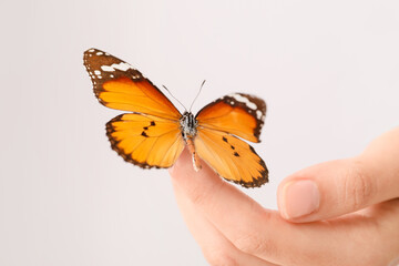Female hand with beautiful butterfly on light background, closeup