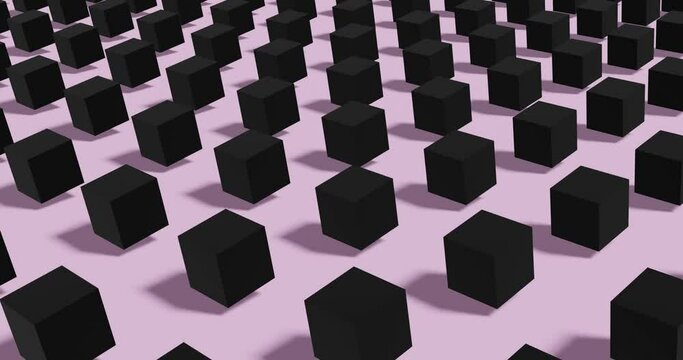 Black 3d cubes on pink background. Looped animation