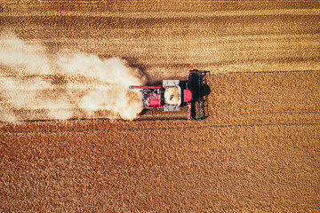 Combine harvester agriculture machine harvesting golden ripe wheat field
