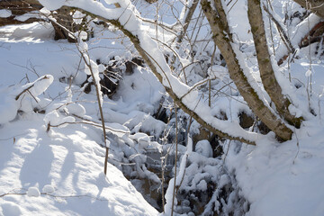Mountain river in the winter forest.