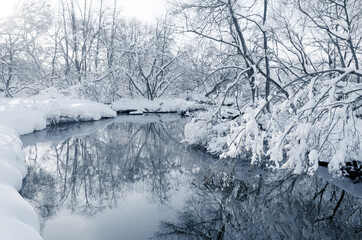 winter landscape with river and trees