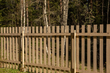 wooden fence. view from home to the forest through the fence
