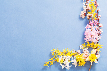 spring flowers on blue paper background