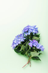 Wedding invitation card