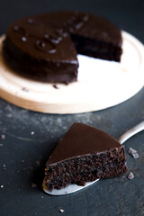 cake slice. Traditional Austrian chocolate dessert.