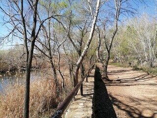 Walking in sunshine 