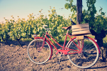 Fototapeta na wymiar Caisse de bouteilles de vin à l'arrière du vieux vélo rouge d'un viticulteur dans les vignes en France.