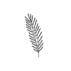 Leaf line art. Abstract plant illustration on white background.