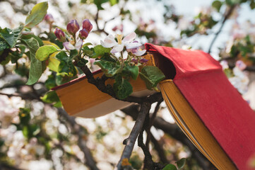 Obraz na płótnie Canvas An open book in a red cover lies on a branch of a tree blooming in white flowers