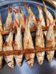 One grilled fish on a plate close in 