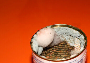 Mold in the food jar. Spoiled food. Toxic canned food.