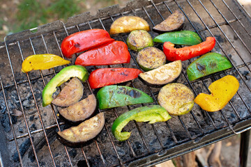 Fresh grilled vegetables, paprika, zucchini, eggplant, champignons. Outdoor picnic in summer. Soft selective focus...