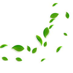 Falling green leaves. Fresh tea chaotic leaves fly