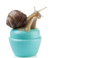 snail sitting on a turquoise container for cosmetics, the concept of cosmetics with mucin, on a white background